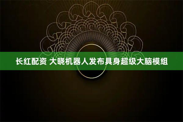 长红配资 大晓机器人发布具身超级大脑模组